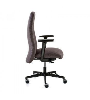 XL +  Sillón Direccional