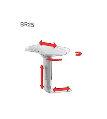 BRAZO BR25