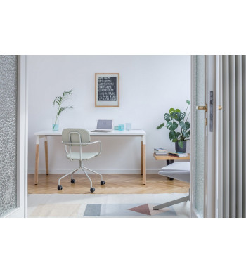 LINEA OGI W