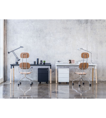 LINEA OGI W