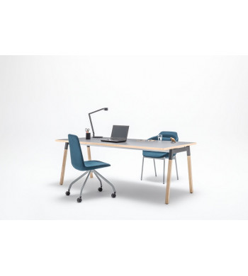 LINEA OGI W