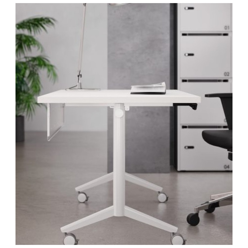 LINEA EIDOS PLEGABLE LINEA EIDOS PLEGABLE