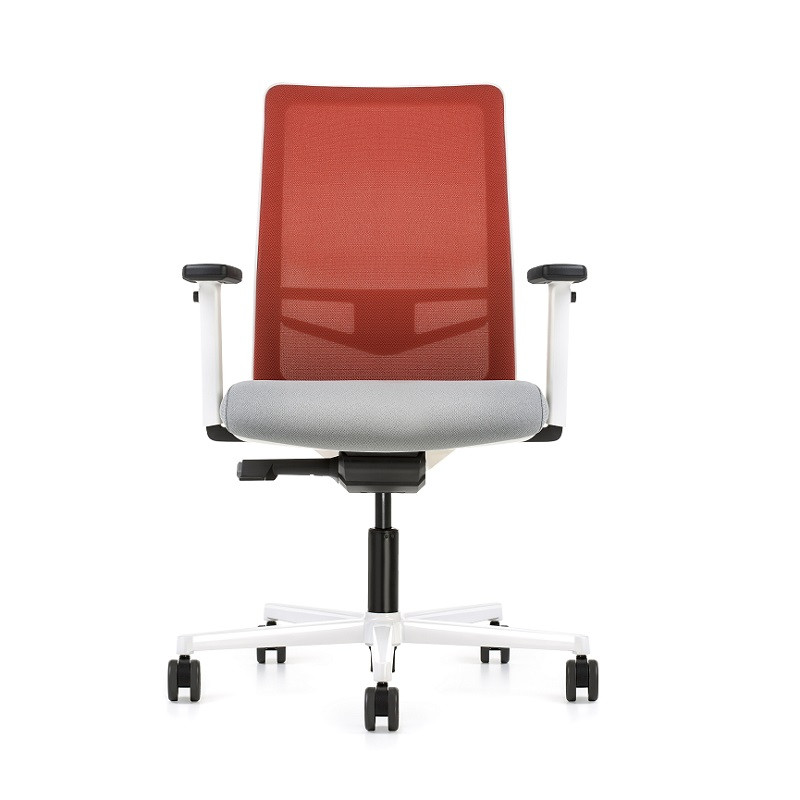 EQUIS 24h ESTRUCTURA BLANCA EQUIS 24h ESTRUCTURA BLANCA