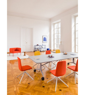 PLEX REUNIÓN